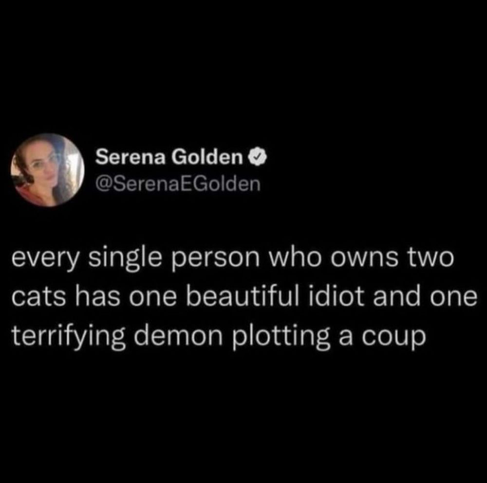 a tweet that says “ every single person who owns two cats has one beautiful idiot, and one terrifying demon plotting a coup”