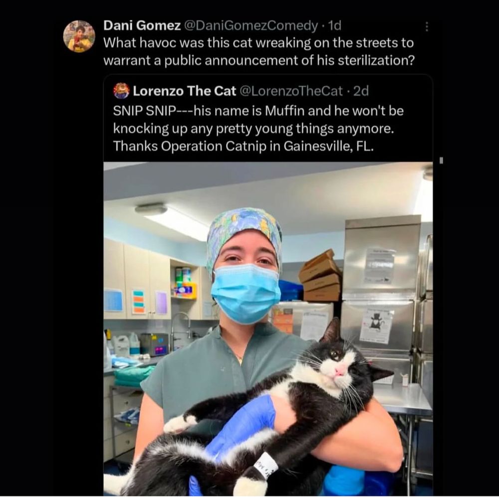 a huge tuxedo cat leans back coolly as he is held like a toddler by a vet. the caption says, “SNIP SNIP - his name is Muffin and he won’t be knocking up any pretty young things anymore. Thanks operation catnip in Gainesville, Florida.” a quote of the post says, “what havoc was this cat wreaking on the street to warrant a public announcement of his sterilization?”