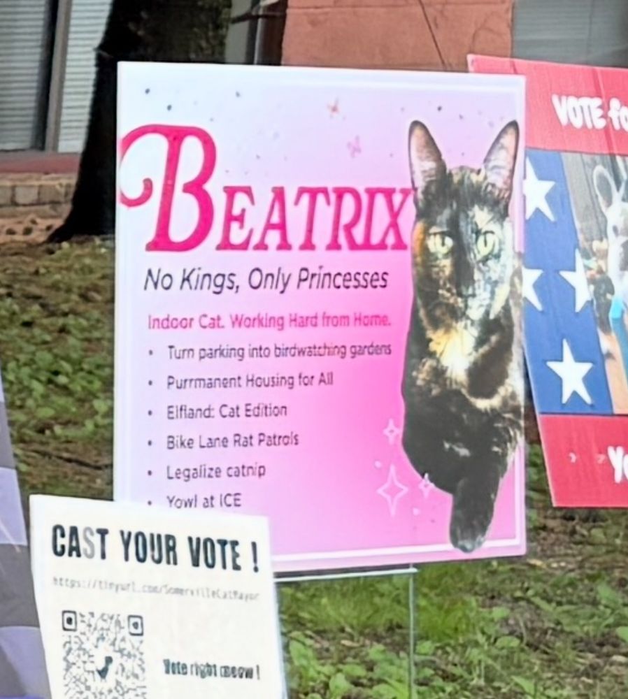 a pink sign for a cat running for cat mayor named beatrix. her slogan is “no kings, only princesses”