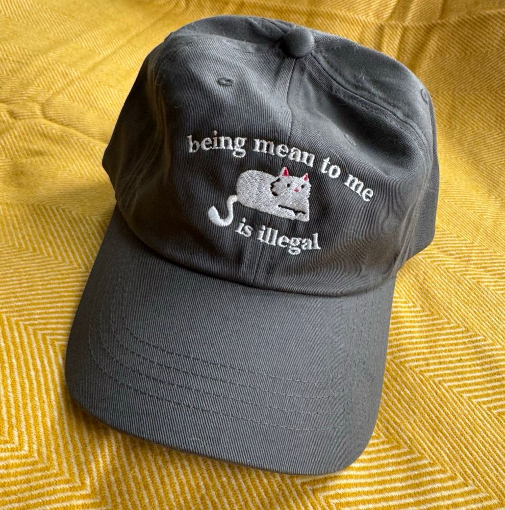 a gray hat that says “being mean to me is illegal” with a white embroidered cat. available at weirdlilguys.com