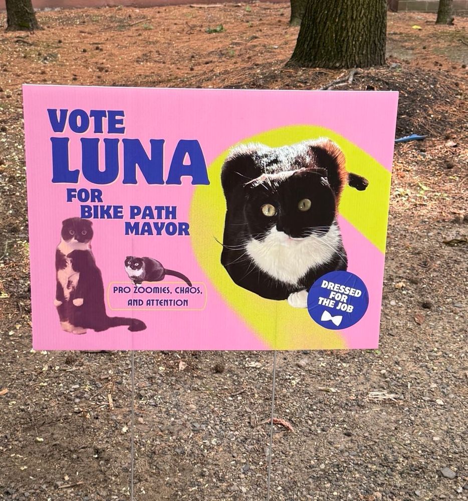 a sign for a cat running for cat mayor named Luna. her slogan is “pro zoomies, chaos, and attention” 