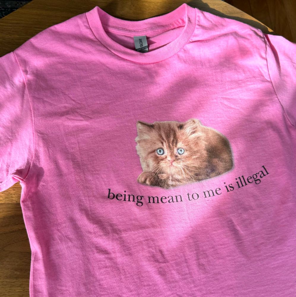 a pink shirt with a little orange kitten on it that says “being mean to me is illegal,” available at weirdlilguys.com