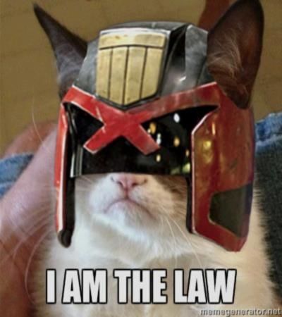 Cat wearing judge dredd helmet

Text reads: I am the law