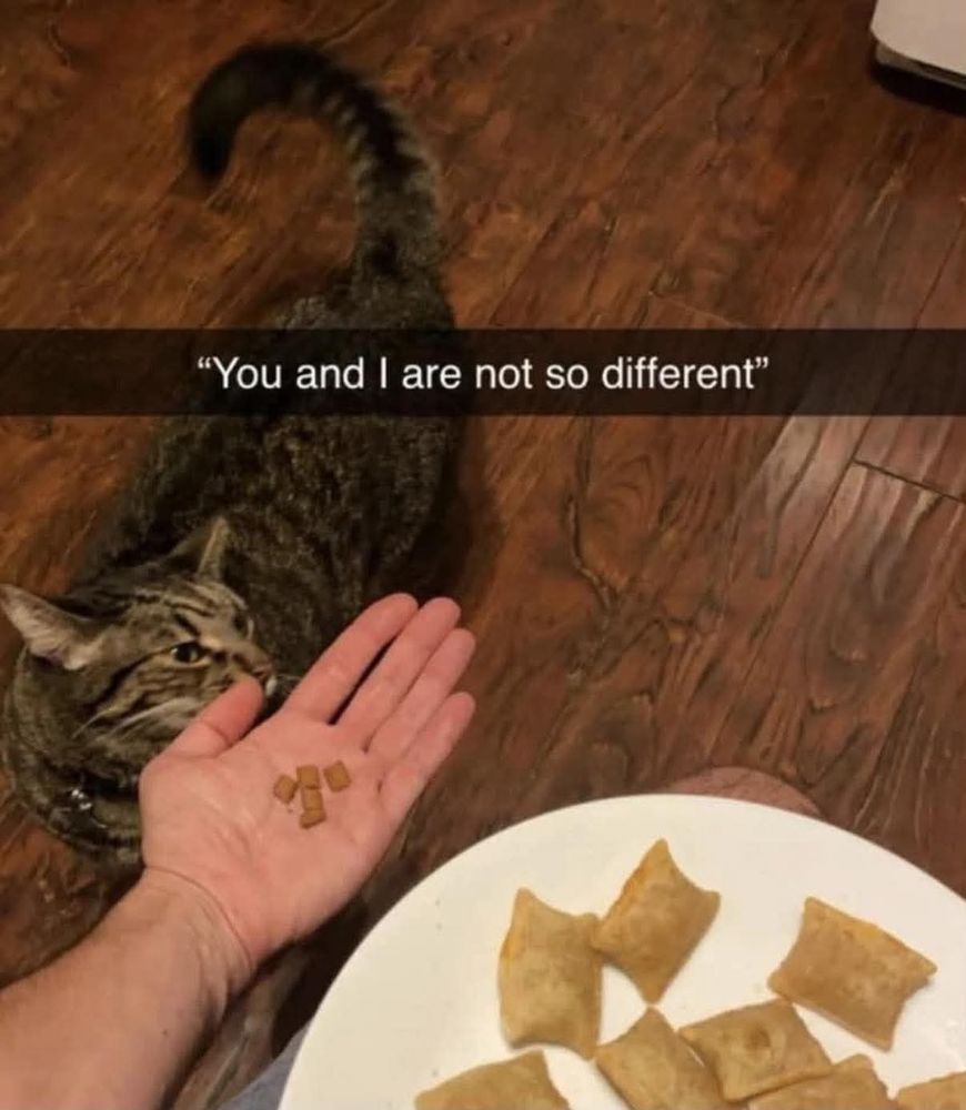 Cat eating snacks that have the same shape as the hooman's plate of pizza rolls

Text says, you and I are are not so different