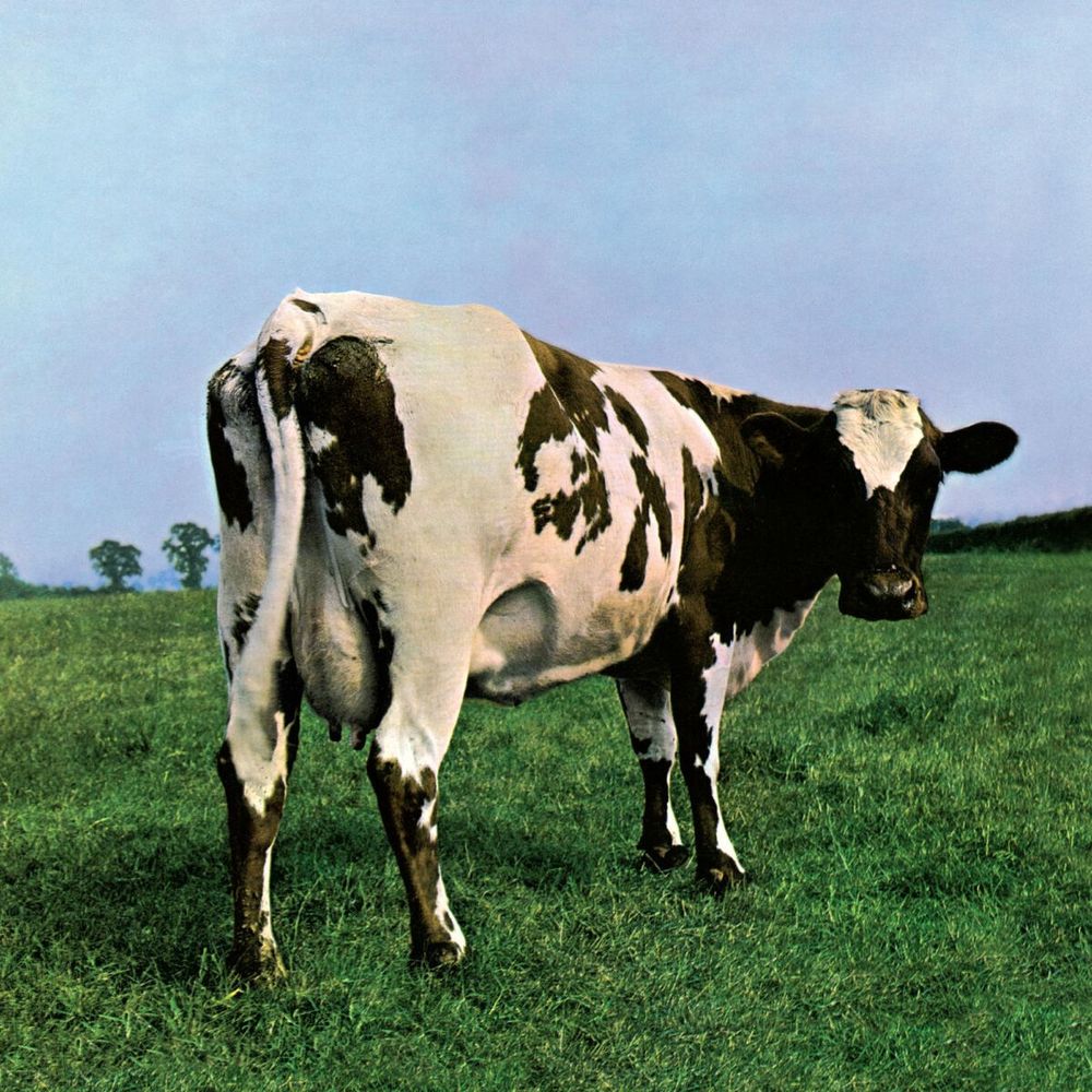 A picture of a cow (Lulubelle III) standing in a green field. A seemingly innocuous photograph that was taken specifically to be the cover of the Pink Floyd album Atom Heart Mother, hence the mention of strange, trippy music in the post.