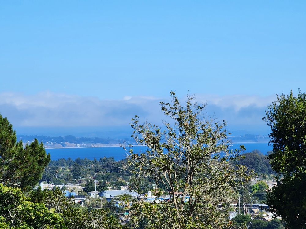 A view of the ocean from hills in Santa Cruz, California.