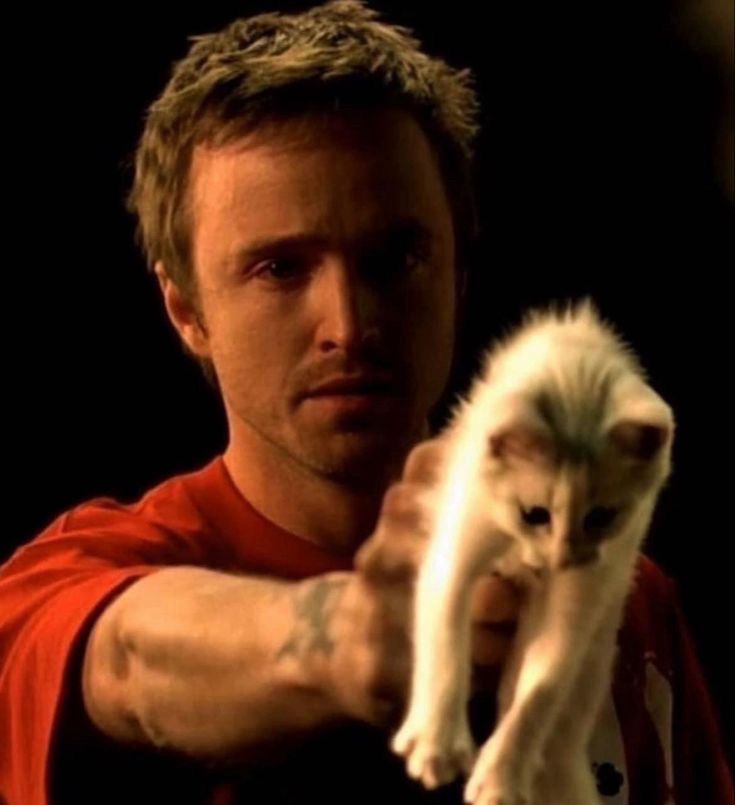 Aaron Paul holding a kitten like a gun with tears in his eyes