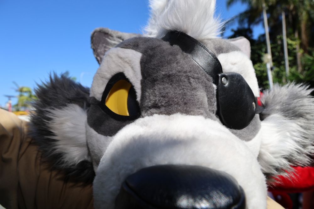 Joss snoot!