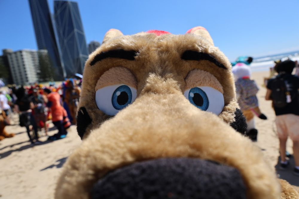 Maui snoot!