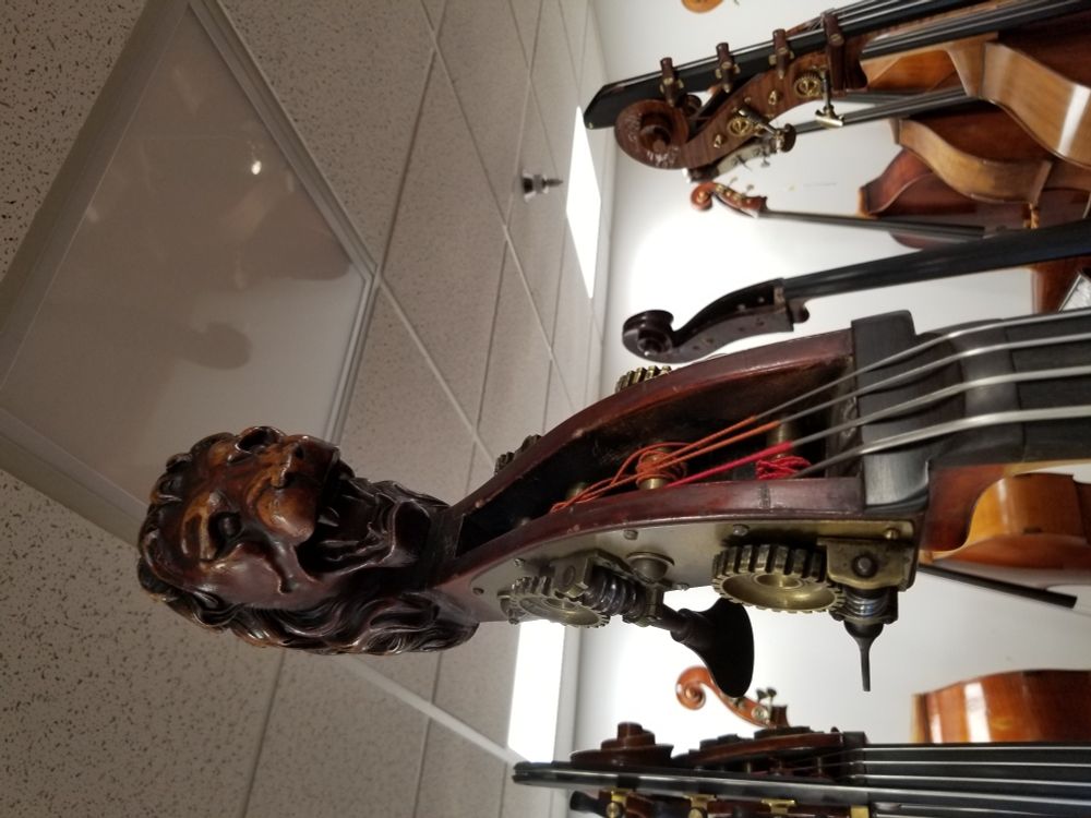 Lion head on a bass looking fierce