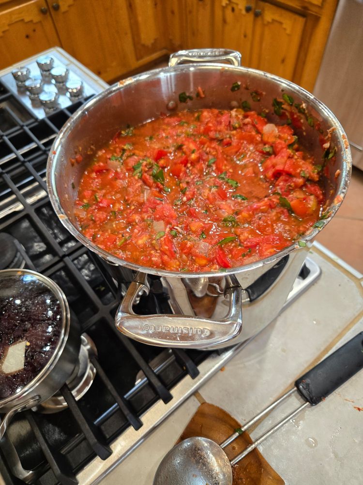 A gigantic pot of marinara on a stove top 