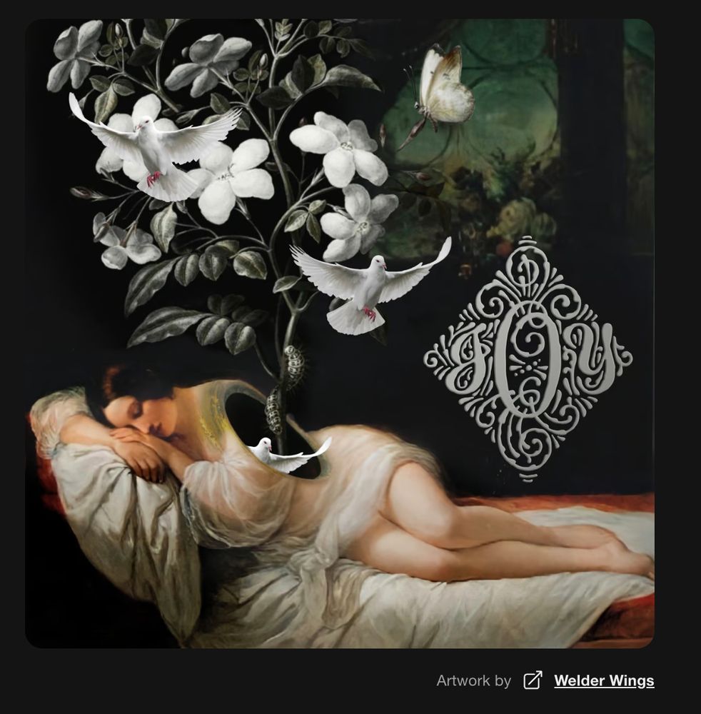 Ampwall screenshot highlighting album artist link