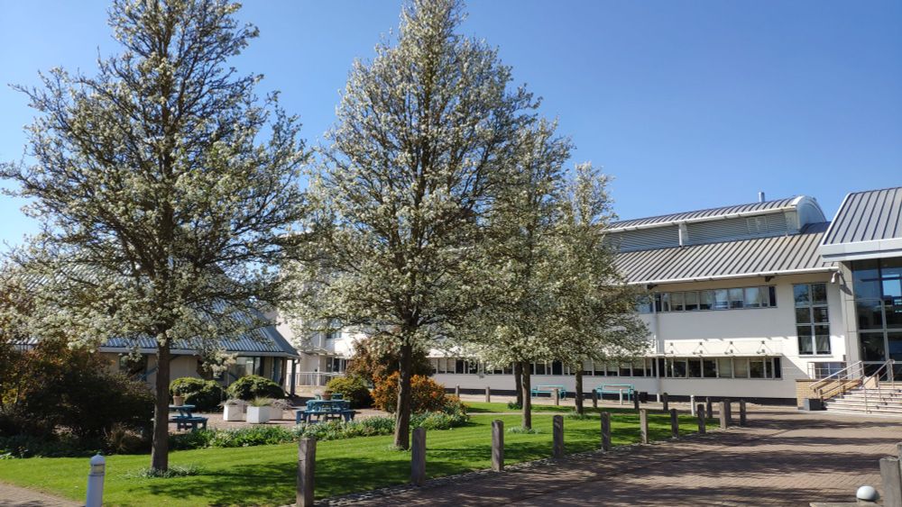 Trees in blossom in front of the lab buildings on the Babraham Research Campus