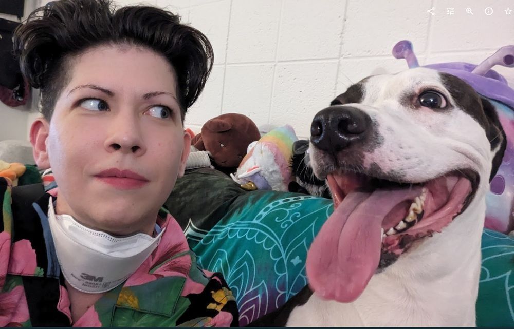 A white trans person with an undercut bemusedly side-eying an excited looking black and white dog whose tongue is lolling out, surrounded by colorful furniture and plushies. The picture has a chaotic energy that seems like it was taken a moment before destructive zoomies.