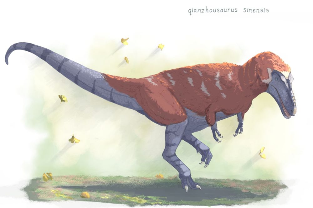 Illustration of the tyrannosaurid Qianzhousaurus sinensis
