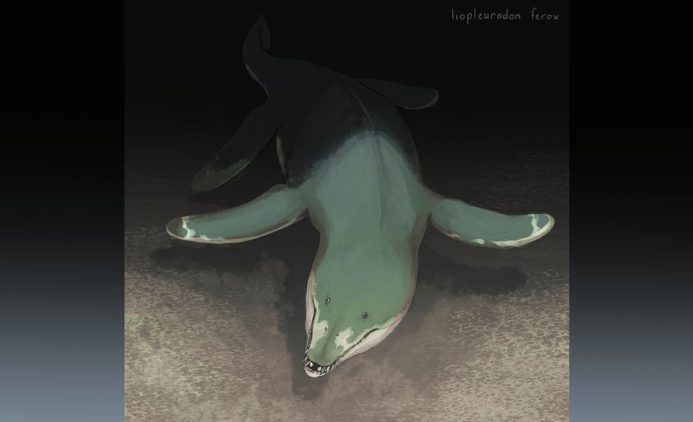 Illustration of a lurking Liopleurodon