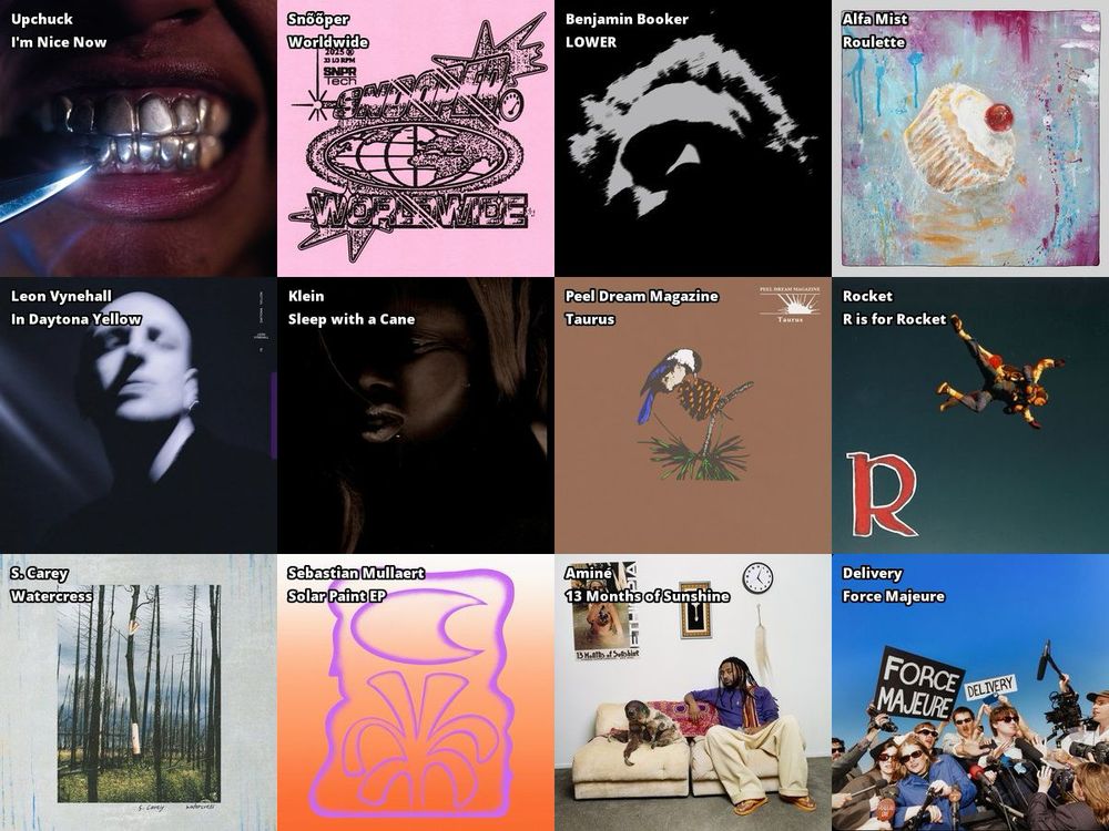 A four by three grid of album covers. Artist followed by album tile:
Upchuck - I'm Nice Now
Leon Vynehall - In Daytona Yellow
S. Carey - Watercres
Snooper - Worldwide
Klein - Sleep with a Cane
Sebastian Mullaert - Solar Paint EP
Benjamin Booker - LOWER
Peel Dream Magazine - Taurus
Amine - 13 Months of Sunshine
Alfa Mist - Roulette
Rocket - R is for Rocket
Delivery - Force Majeure