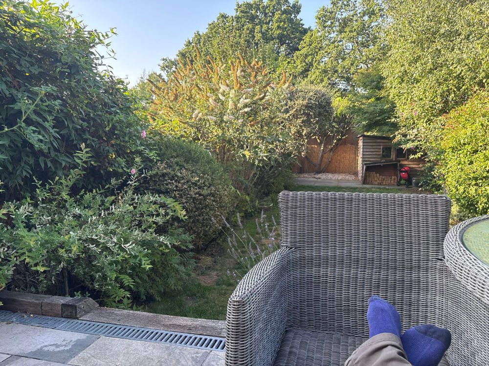 Back garden in bloom sitting with my morning coffee at peace with the world