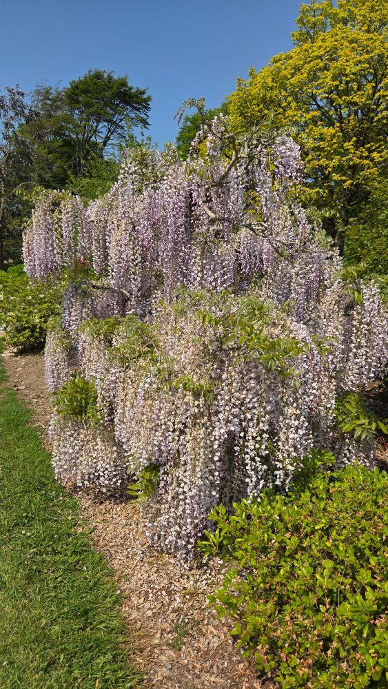 Mount Congreve Gardens