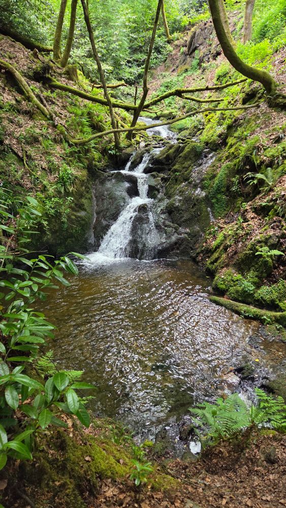 Woodstock Gardens Waterfall Loop Walk