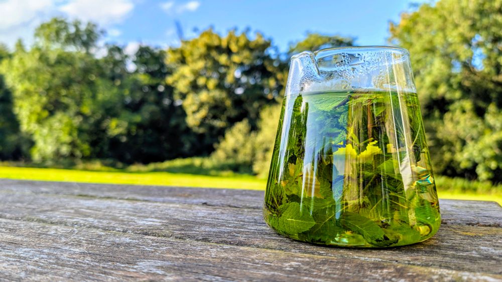 A clear, modern glass jug sits on a rustic wooden picnic table. Inside, vibrant green fresh mint leaves are visible, steeped in light-been mint tea. The background is a soft-focus view of a lush green meadow with trees by the riverbank under a bright sky.
