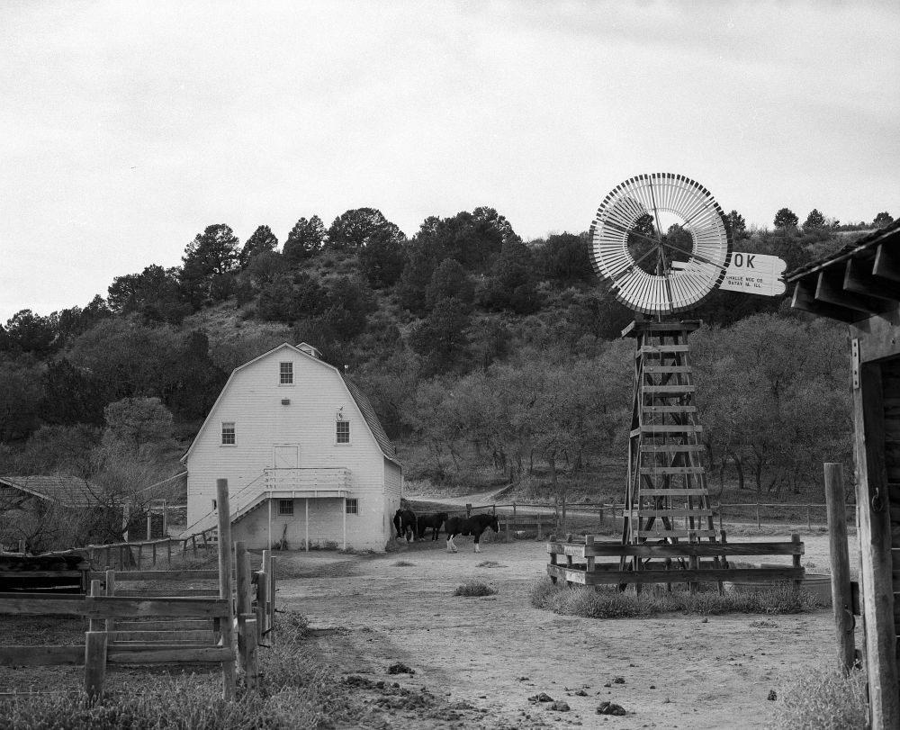 A black and white photo of Rock Ledge Ranch, looking from the far end of the field towards a white barn. Three horses are standing by the barn, a large wooden windmill stands tall in the foreground. 