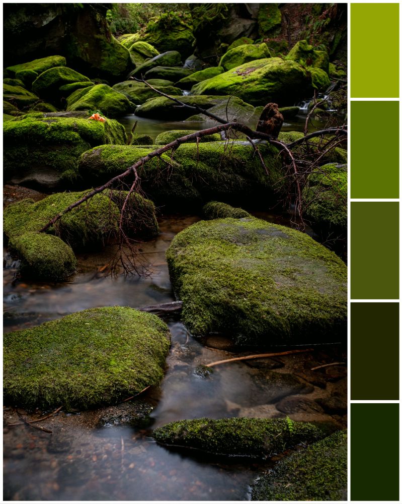 From the bottom of Whatcom Creek, a long exposure shot of water running through large rocks and boulders covered in moss. 