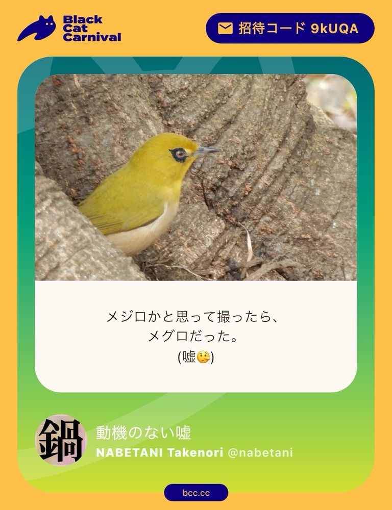 black cat carnival の嘘の部屋