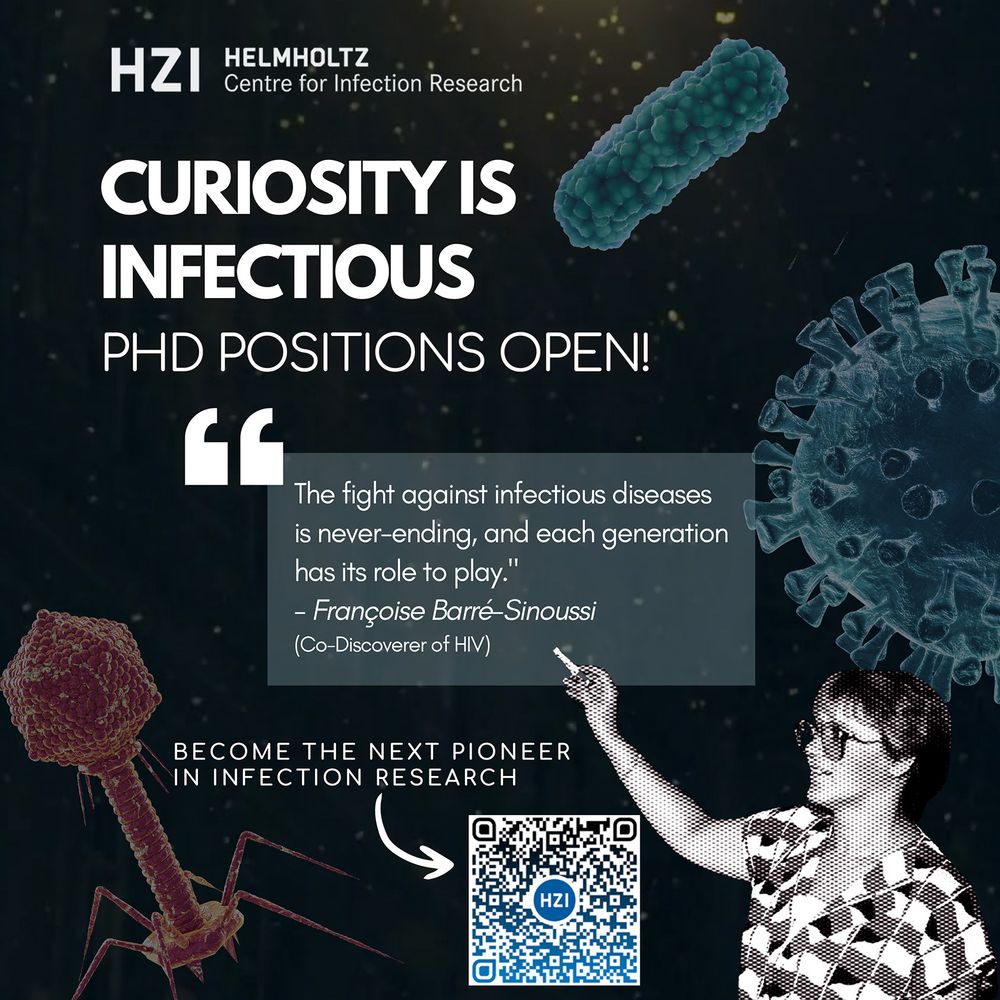 Ankündigung des PhD Programms "Curiosity is Infectious" des HZI. Der Titel des Programms steht oben im Bild, im Hintergrund sind verschiedene Viren und Bakterien abgebildet. Über einen QR-Code unten in der Mitte kann die Stellenanzeige aufgerufen werden.