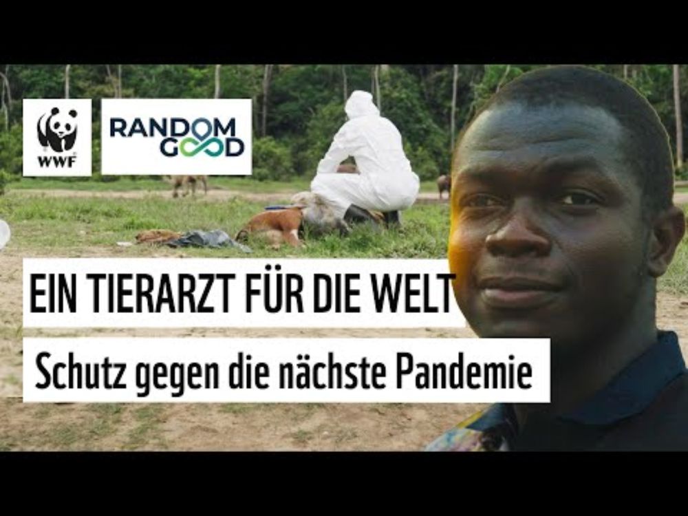 🌍 Ein Schutzschild für die Welt: Ein Tierarzt im Einsatz gegen die nächste Pandemie