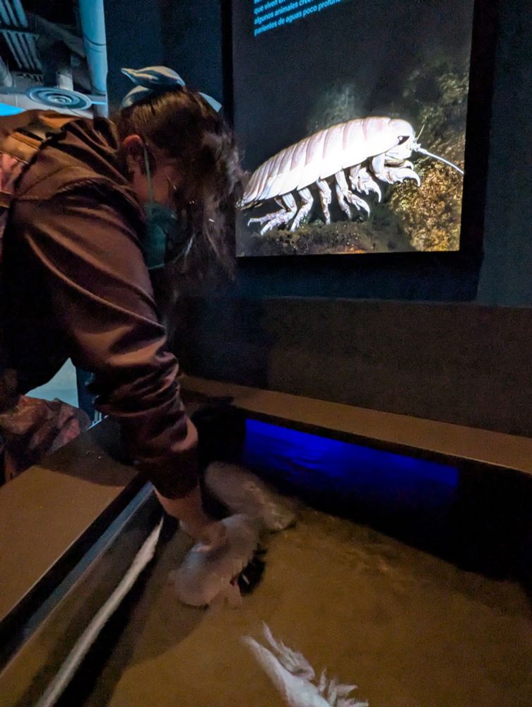 A woman in a brown leather jacket and blue bow bending over a tank to pet an aquatic isopod