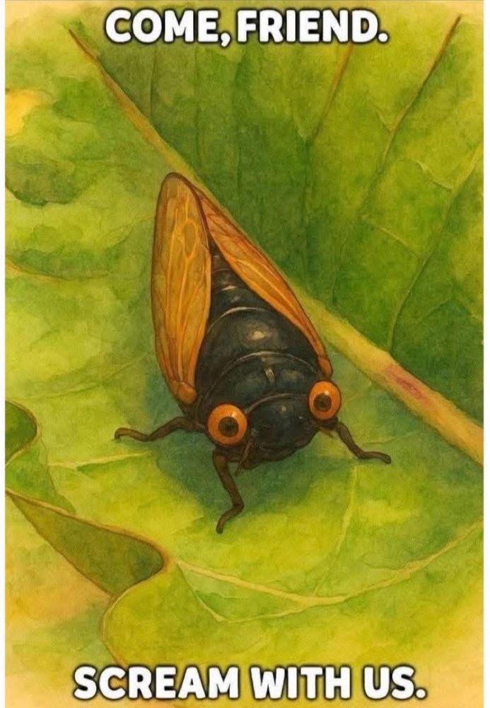A cicada: COME, FRIEND.
SCREAM WITH US.