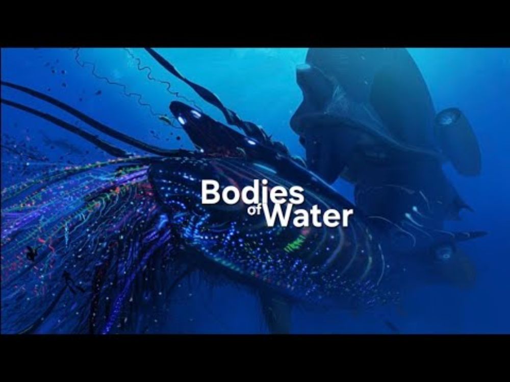 Bodies of Water: The Star and Other Stories