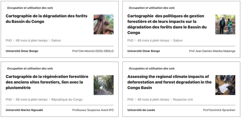 Capture d'écran du titre de cette bourse et des principaux détails pertinents, avec une icône photo représentant le contenu du projet. Tous les contenus sont disponibles à partir du lien dans l'article.