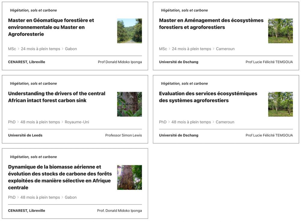 Capture d'écran des cinq projets de bourses disponibles dans l'observatoire Végétation, Sols et Biochimie, disponible via le lien dans le post.