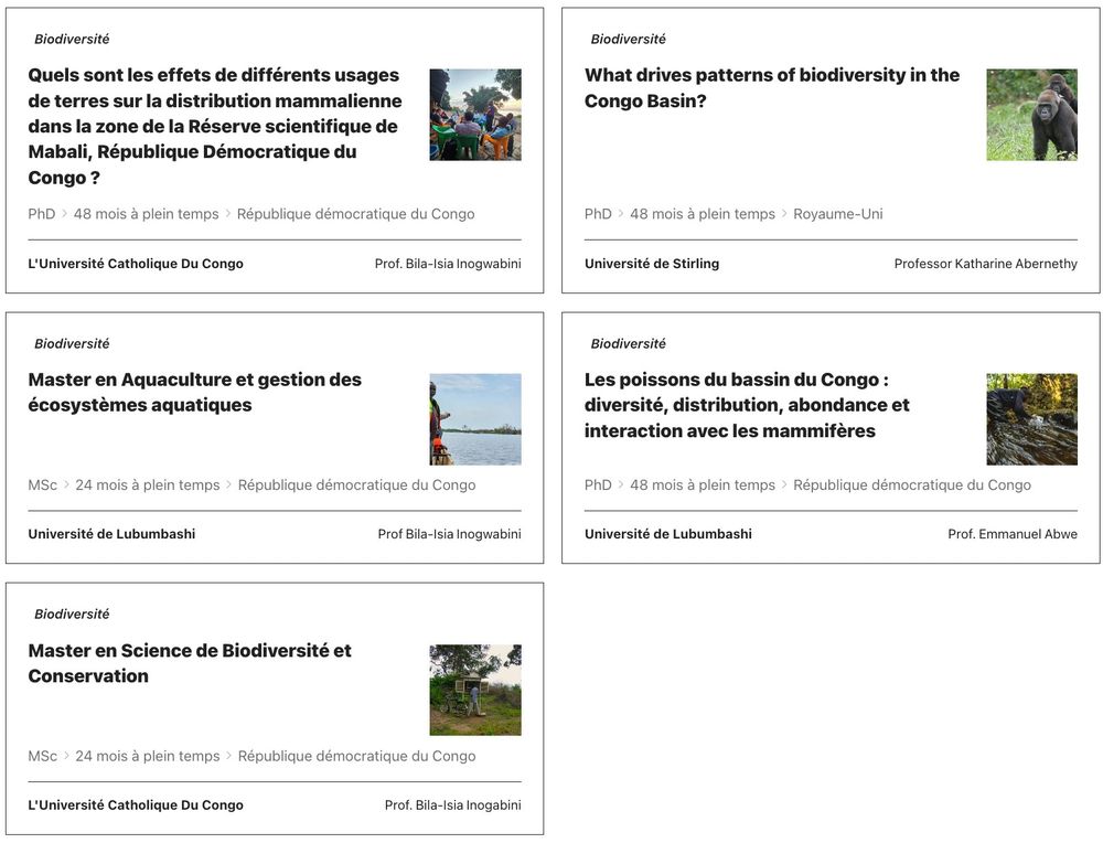 Capture d'écran du titre de cette bourse et des principaux détails pertinents, avec une icône photo représentant le contenu du projet. Tous les contenus sont disponibles à partir du lien dans l'article.