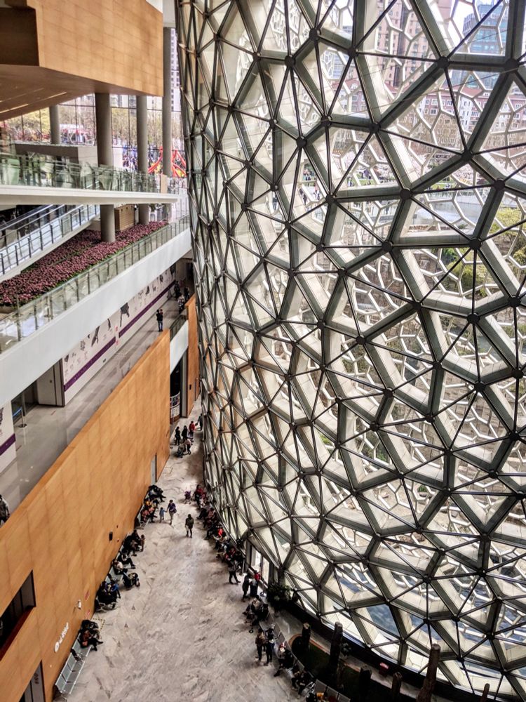 Shanghai Natural History Museum / Atrium / Photo by Emma Reed