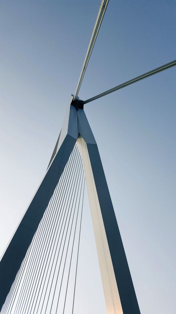 Erasmus Bridge in Rotterdam Netherlands