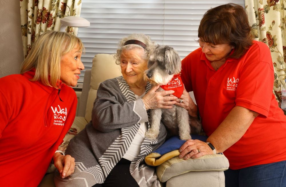 North East dog befriending charity Wag & Company, who secured vital funding enabling them to recruit more volunteer teams and increase the number of visits each week.