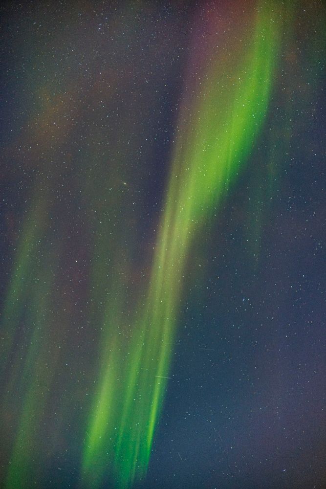 The aurora borealis in shades of green and red