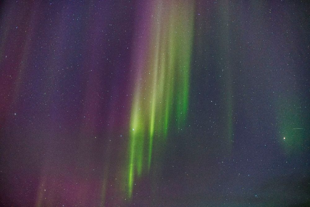 Green and pink narrow spikes of aurora borealis in a star filled sky 