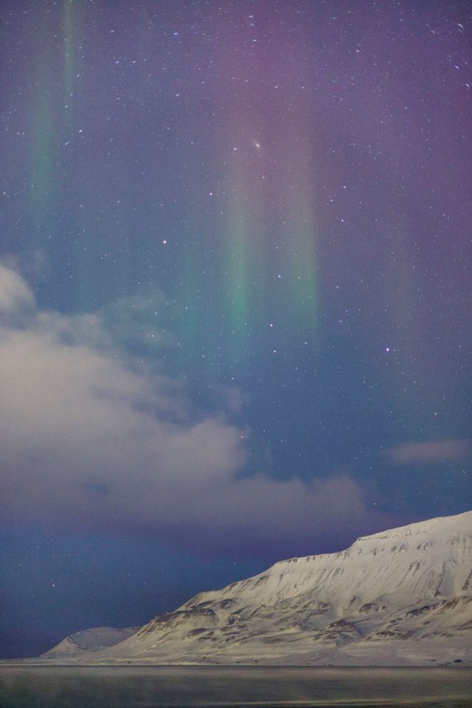 Pink and green aurora over a snowy mountain with a large cloud in the sky and a misty fjord in the foreground 