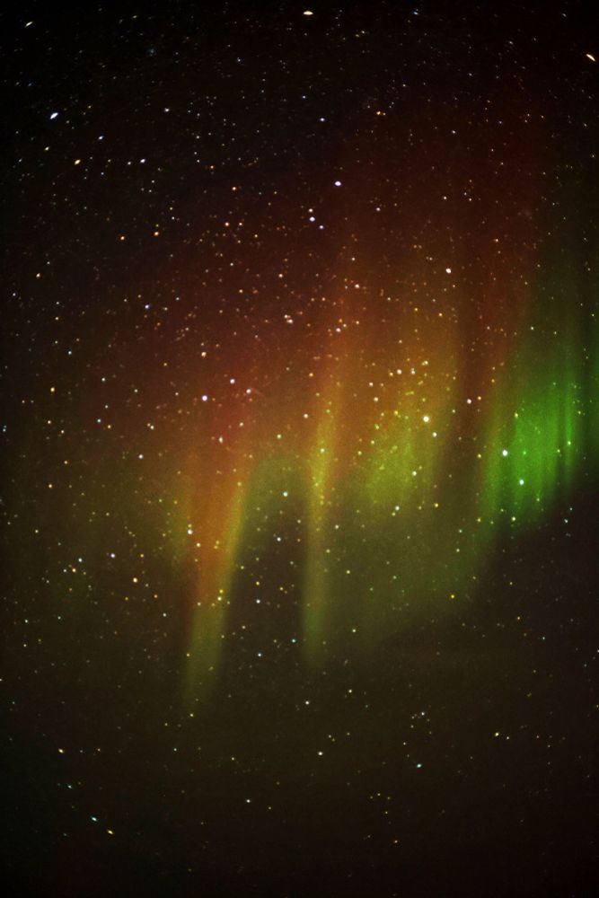 A slightly blurry photograph of red and green spiky aurora 