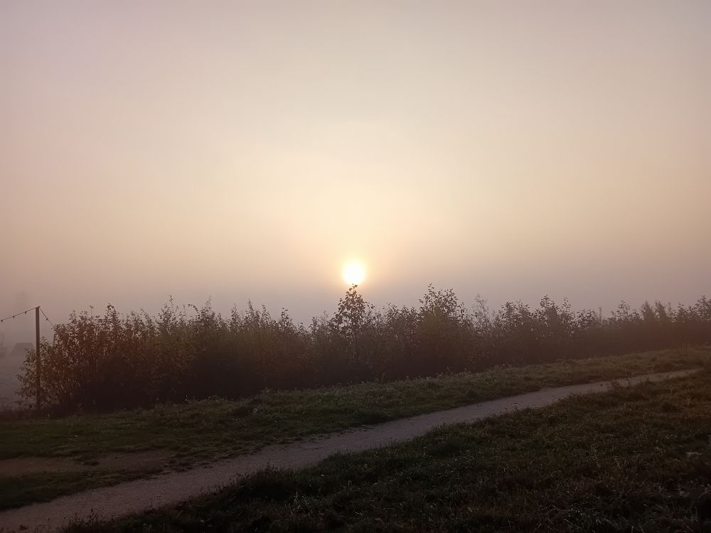 De zon komt net boven de grondmist uit. Op de voorgrond een schelpenpaadje, dan een rietkraag en daarachter het meer.