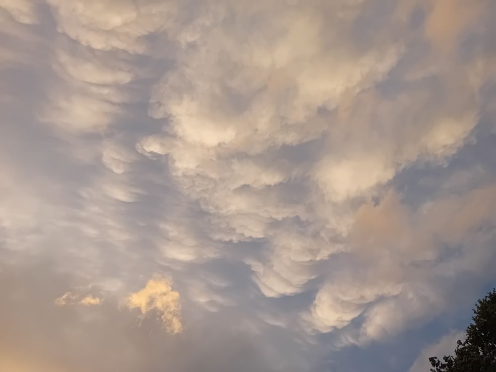 Wolkenlucht. Wit, blauw, grijs, geel. De vorm aan de onderkant van de wolken is bijzonder. Lijken op rolletjes.