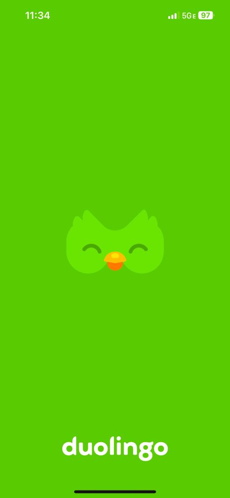 A scree shot of the loading screen for duolingo, a language learning app