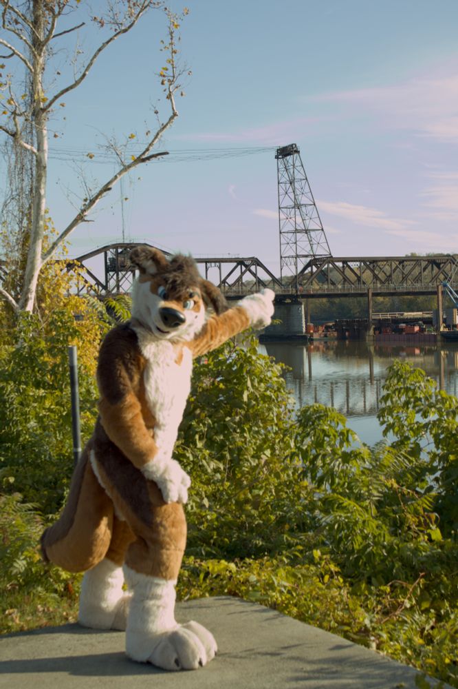 what's the point! ha funny joke!!!! talus is a mexican wolf fursuit with intense eyes and a naturalistic fur pattern