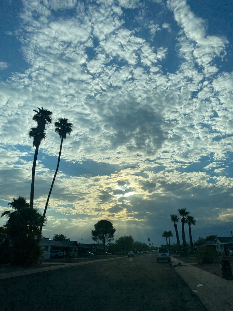 A photo of the morning sky, covered in light fluffy clouds after a storm the night before.  Sun rays are peaking through.  In the foreground are palm tree sillouhettes, the road and sidewalk.  6:45 am, no cars or people out yet.