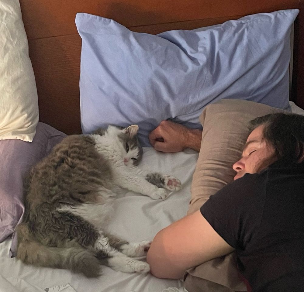 A beautiful, fluffy grey and white senior cat named Fluflu rests next to a sleeping long haired man drooling onto his pillow. Fluflu’s paws touch the man’s elbow and his hand rests hear her head.