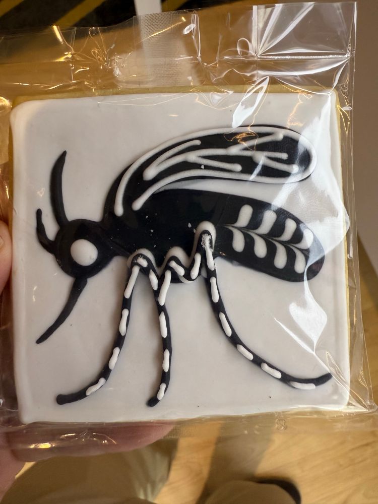 Mosquito themed cookie